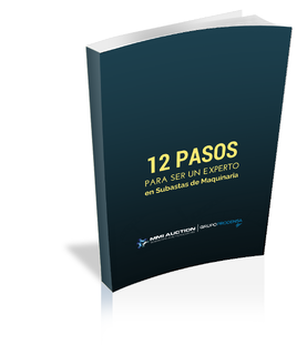 12_Pasos